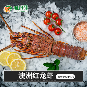 龙虾生冻大龙虾速冻波龙特大20斤冰鲜澳洲澳龙青龙sf包邮0人付款448