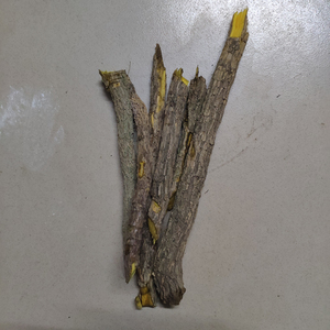 野生十大功劳中药材新鲜茎杆500g纯天然十大功劳树中药干片刺黄连