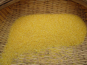 山东石碾黄小米农家特级粗粮杂粮孕妇月子米宝宝有机小米包出米油