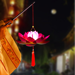 莲花纸灯笼