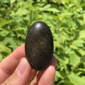 新疆和田玛丽艳黑皮籽料原石玩料挂件挂坠籽原籽打灯透特色石包玉