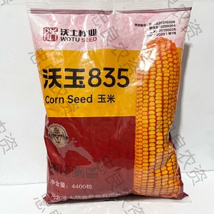 沃玉835玉米种高产国审红轴大棒抗病抗倒苞谷种子河北沃土种业