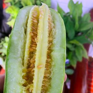 羊角蜜甜瓜新鲜水果当季羊角密瓜香瓜应季牛角蜜羊角脆大5斤