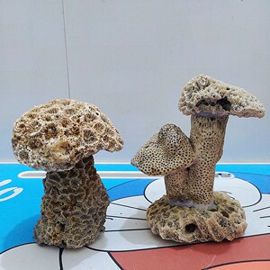 鱼缸造景石 水族摆件 天然 珊瑚石 奇石 死石 手工制作成型