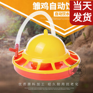 雏鸡饮水器小鸡喝水器养鸡设备育雏饮水器鸡用自动饮水器水壶设备