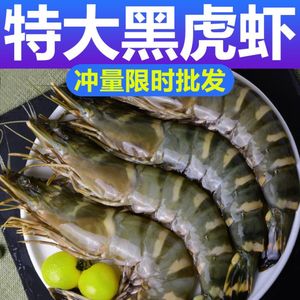 【特大】黑虎虾超大 特大号大虾海虾肉质紧实口感鲜甜