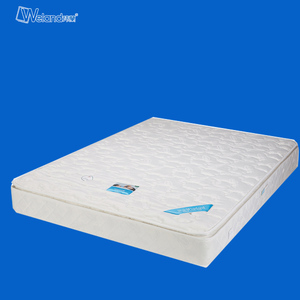 玮兰床垫 兰亭系列 兰之梦 成都包送