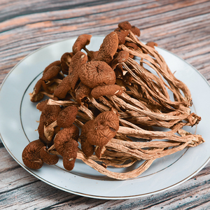 茶树菇干货特级不开伞茶薪菇菌菇山珍武夷山特产农家干货250g包邮