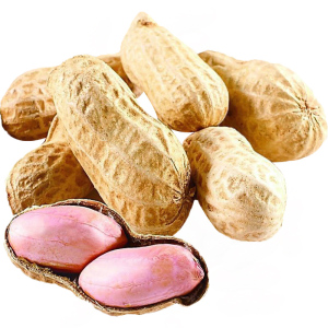 带壳生花生新鲜现挖自然晒干2021干新农家粉红皮自家自产现挖黑皮