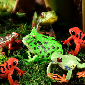 儿童仿真摆件池塘动物青蛙癞蛤蟆树蛙田鸡蟾蜍牛蛙玩具模型