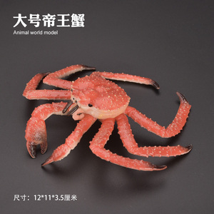 儿童仿真海洋海底玩具模型螃蟹青蟹梭子蟹寄居蟹红蟹椰子蟹帝王蟹