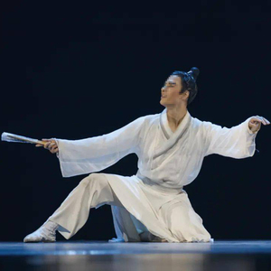 桃李杯古典舞蹈演出服逍遥愁同款舞蹈服男艺考剧目中国风武侠定制