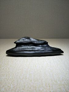 马鬃山黑碧玉奇石摆件阿拉善戈壁石原石造型石象形观赏石收藏玛瑙