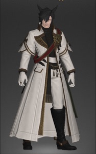 ff14指挥官