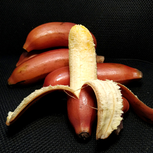 漳州土楼红皮香蕉3斤5斤包邮新鲜水果红美人香蕉超甜蕉自然熟香蕉
