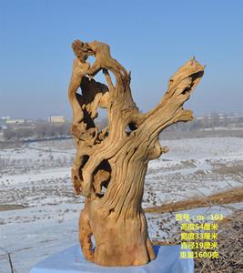 新疆戈壁沙漠胡杨原木摆件花架装饰品工艺品花瓶盆景景观园林包邮
