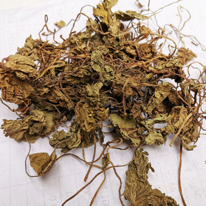中药材青天葵500g克 广西野生独脚天葵中草药 珍珠叶半边伞坠千斤