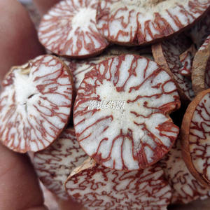 中药材槟榔子500克大腹子橄榄子槟榔仁槟榔玉白槟榔大腹槟榔青仔