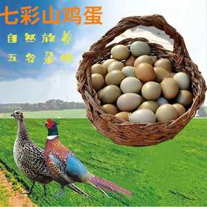 七彩山鸡蛋60枚山鸡蛋土鸡蛋正宗农家散养新鲜野金鸡蛋绿壳乌鸡蛋