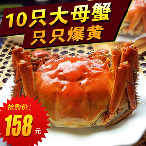 特大固城湖大闸蟹现货水产鲜活河湖螃蟹2-2.
