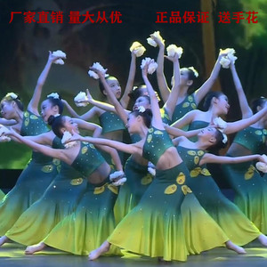 缅桂花开朵朵香傣族女子群舞演出服装儿童傣族演出服傣族舞蹈服装