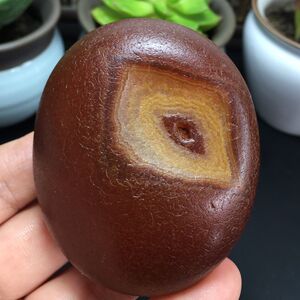马达加斯加纯天然玛瑙原石 奇石摆件 精品花纹 水冲滑皮籽料