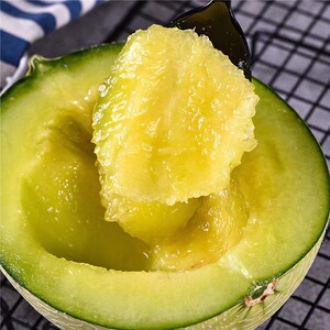 日本原种 爆甜奶香风味 头茬玫珑网纹蜜瓜冰淇淋口感新鲜孕妇水果