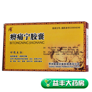 痹痛宁胶囊风湿