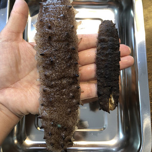 南澳特产野生淡干海参北极王刺干货18头孕妇送礼500g