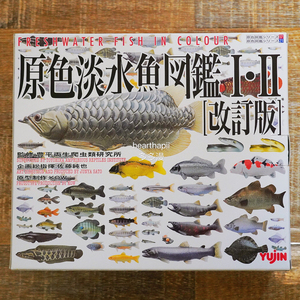 Yujin正版 日本原色淡水鱼图鉴 限定礼盒 动物扭蛋模型 现货