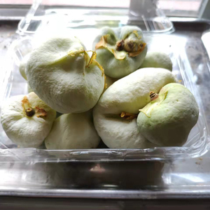 浙江千岛湖农家深山现摘半斤新鲜野果茶泡果茶包茶桃应季野生水果