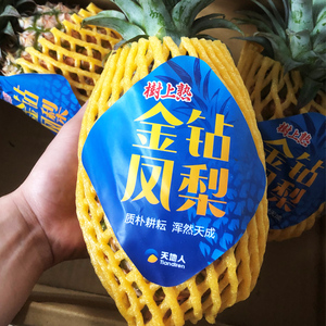 发中通天地人凤梨海南金钻凤梨新鲜大果5斤装2个