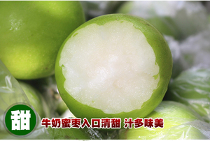 发顺丰新鲜水果 新鲜牛奶蜜枣 牛奶青枣 胜台湾大青枣蜜枣5斤