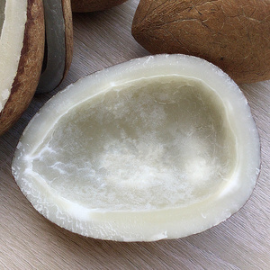 无汁原味大椰子干新鲜椰青王肉块煲汤椰子鸡酒楼炖汤带皮海南椰皇