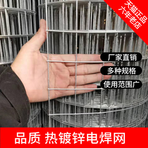 5厘米网孔钢丝网铁丝网围栏养鸡防护网栅栏铁网护栏栏隔离车间网