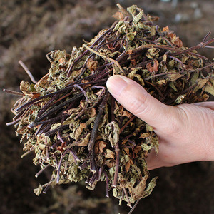 福建烧仙草叶子整棵切段高胶草干正宗广东草粿黑凉粉农家食材