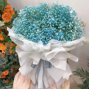 满天星花束同城配送鲜花杭州重庆武汉送女友爱人生日礼物求婚惊喜