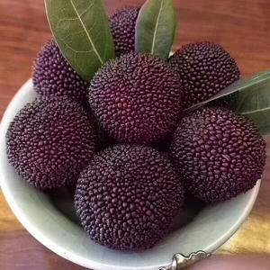 [荸荠黑炭梅]正宗仙居东魁杨梅新鲜整箱3斤装当季水果现摘现发