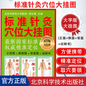 正面 侧面 背面 说明书 大字版大挂图 郭长青主编 人体经络穴位图