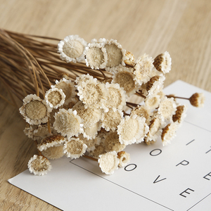 态生活 进口天然干清新艺术花玛格丽特花束 真花永生花家居装饰