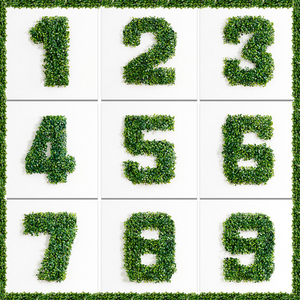 ins风日系森系绿植数字儿童12345678周岁派对网红生日挂旗