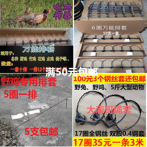 观赏竹鸡笼养殖竹鸡斑鸠白面水鸡鹧鸪毛鸡鸟笼工具全套网罩笼套子