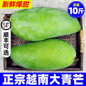 越南大青芒果新鲜10斤超级特大现摘进口特产青皮金煌热带水果顺丰