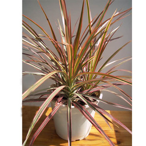 【千年木办公室】千年木办公室品牌,价格 - 阿里巴巴