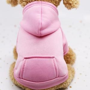 小型泰迪狗衣服女公主