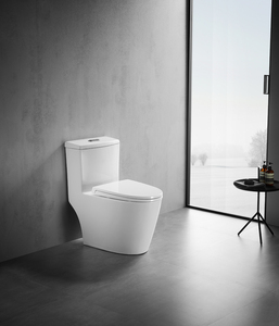 家装,建材 卫浴洁具类 普通马桶 吉博力座便器