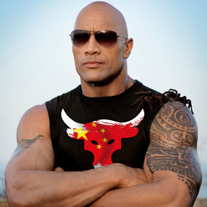 巨石强森夏季无袖t恤男公牛牛头运动健身背心纯棉吸汗大码男装