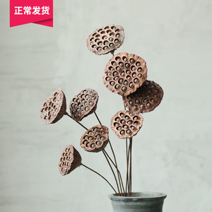 【山树】带籽莲蓬家居装饰会所摆设艺术组合干花拍摄道具天然莲蓬