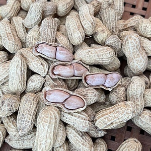 广东新精选白玉水煮白晒花生咸干带皮花生坚果特产