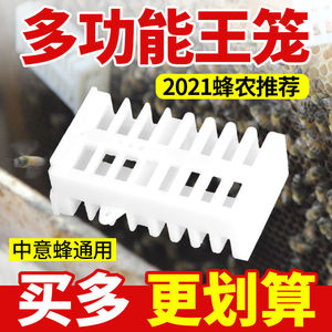 蜂王笼多功能塑料蜜蜂王笼中蜂意蜂囚王龙介王笼关王捉蜜蜂笼蜂具